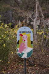 ノンスモーキング