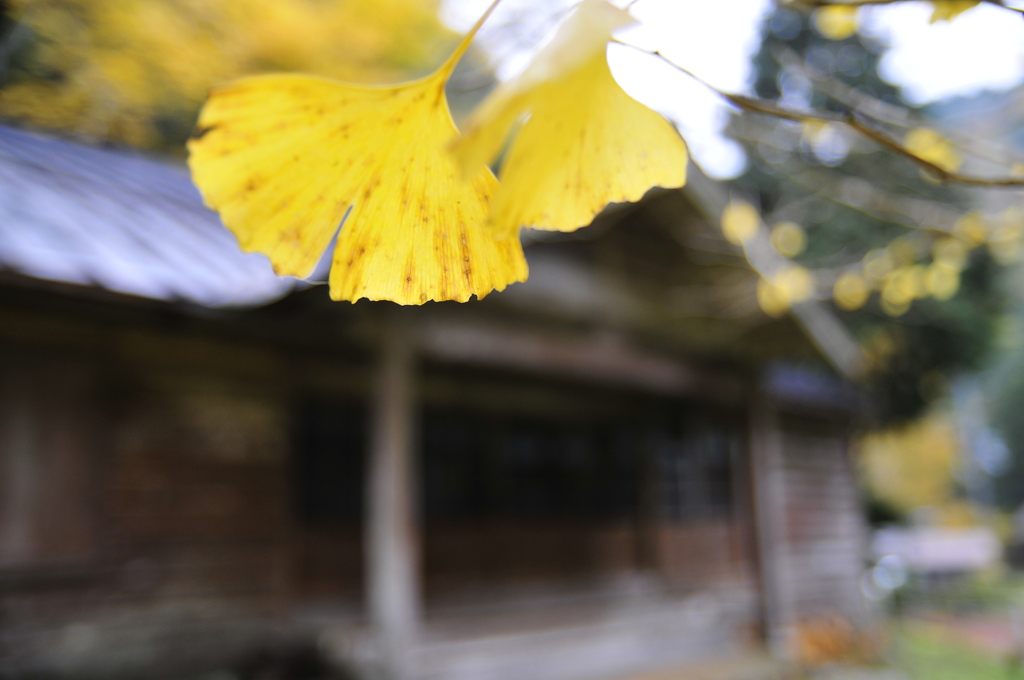 廃村の秋