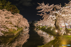 弘前公園 2017 内濠④