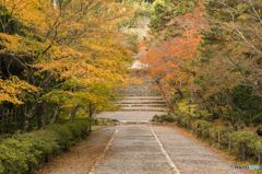 紅葉の馬場(二尊院)