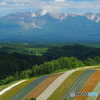 夏の北の大地
