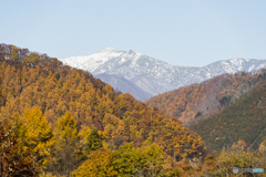 谷川岳を望む紅葉