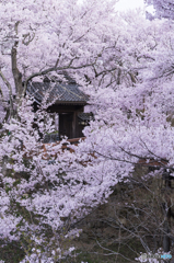 高遠城址の定番