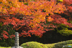 詩仙堂の秋