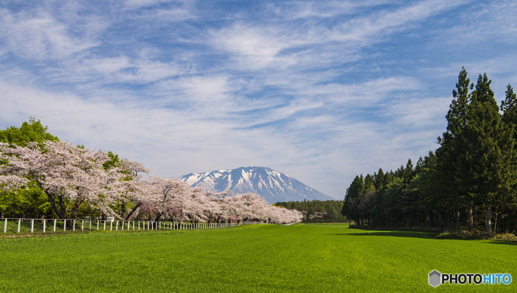 小岩井農場と岩手山