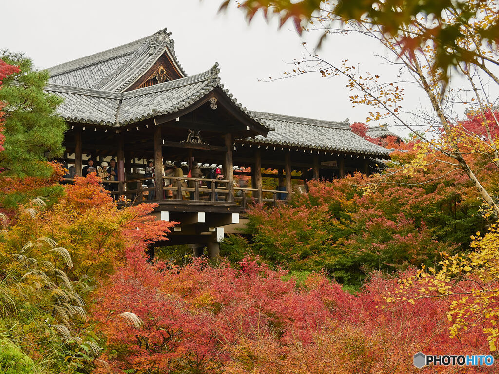 東福寺②