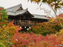 東福寺②