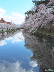 弘前公園東濠②(閉鎖中)