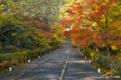 二尊院参道