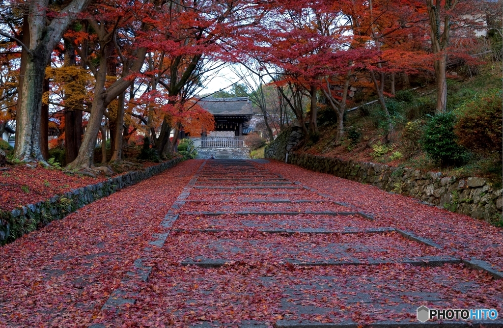 移り行く晩秋