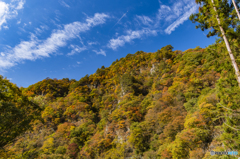 吾妻渓谷の色