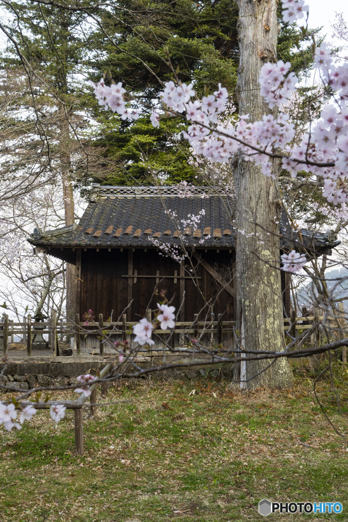高遠城址公園　2021　④