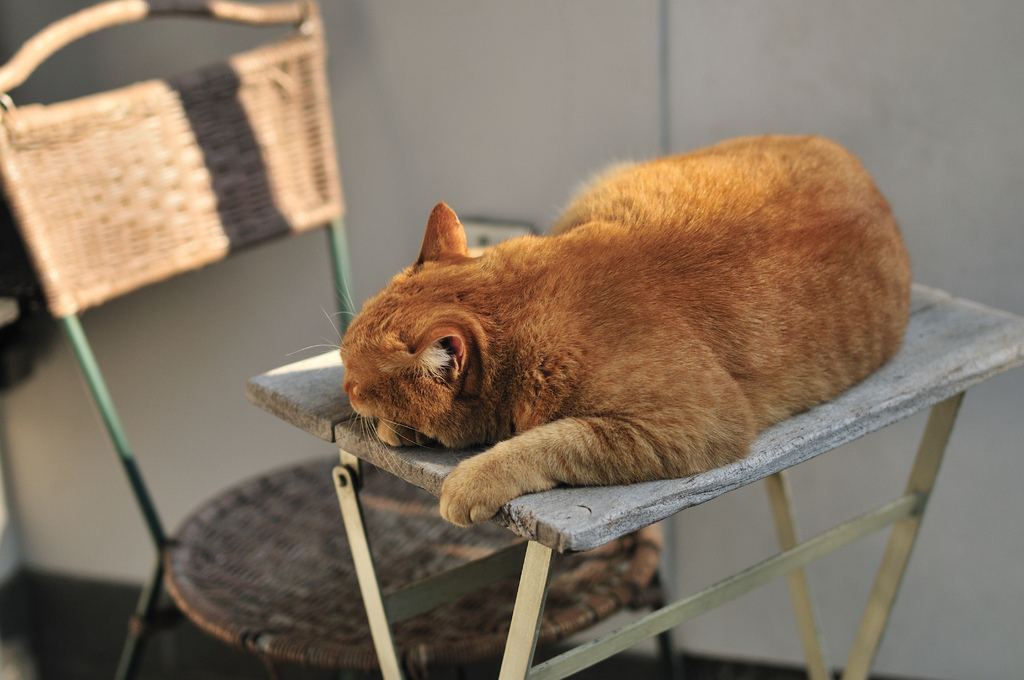 店の前で堂々と・・・・