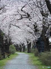 北上展勝地(閉鎖中)①