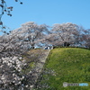春景(古墳公園)