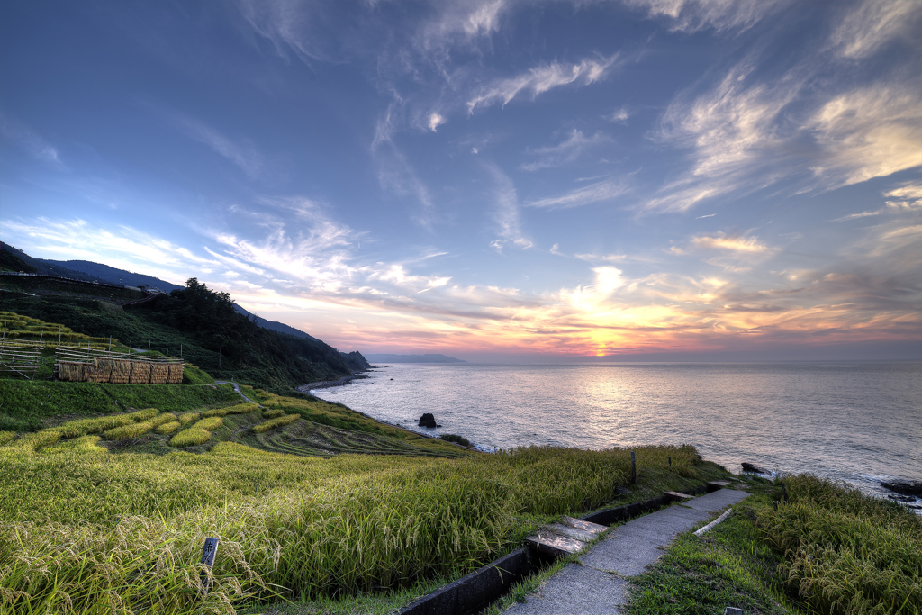 輪島　白米千枚田　③