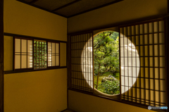 今年は違う悟り