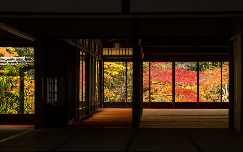 秋の窓　京都④