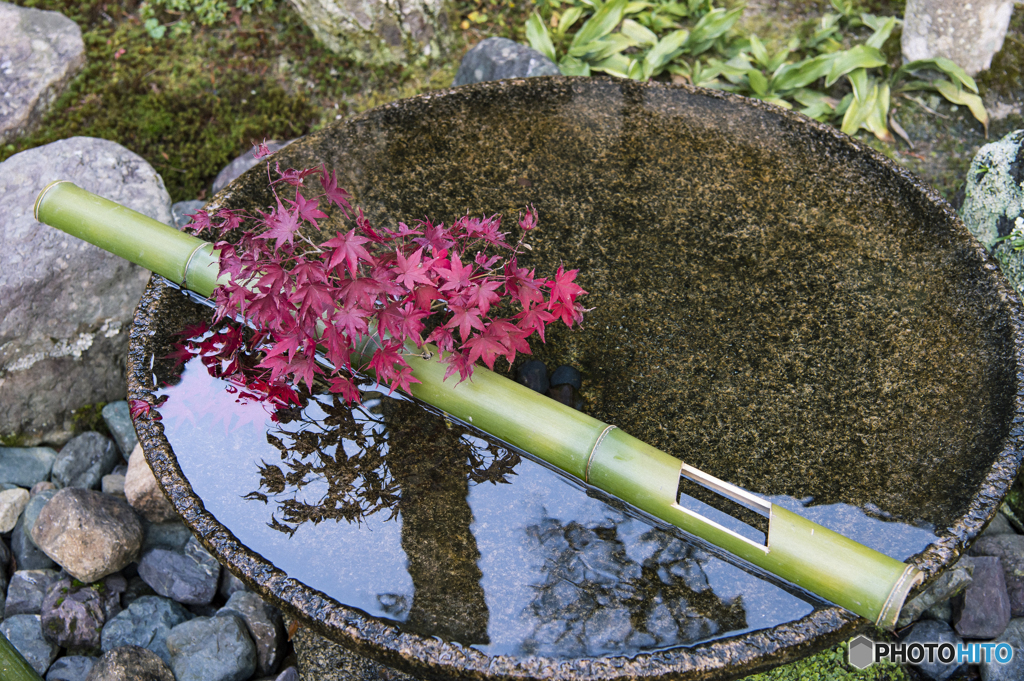 秋のおもてなし