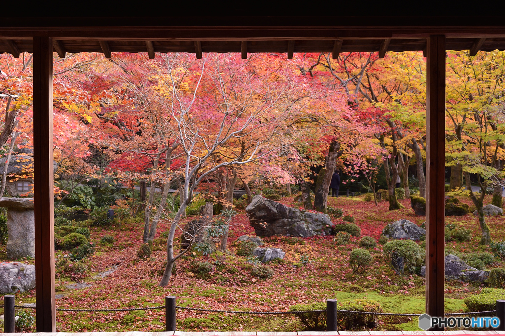 圓光寺