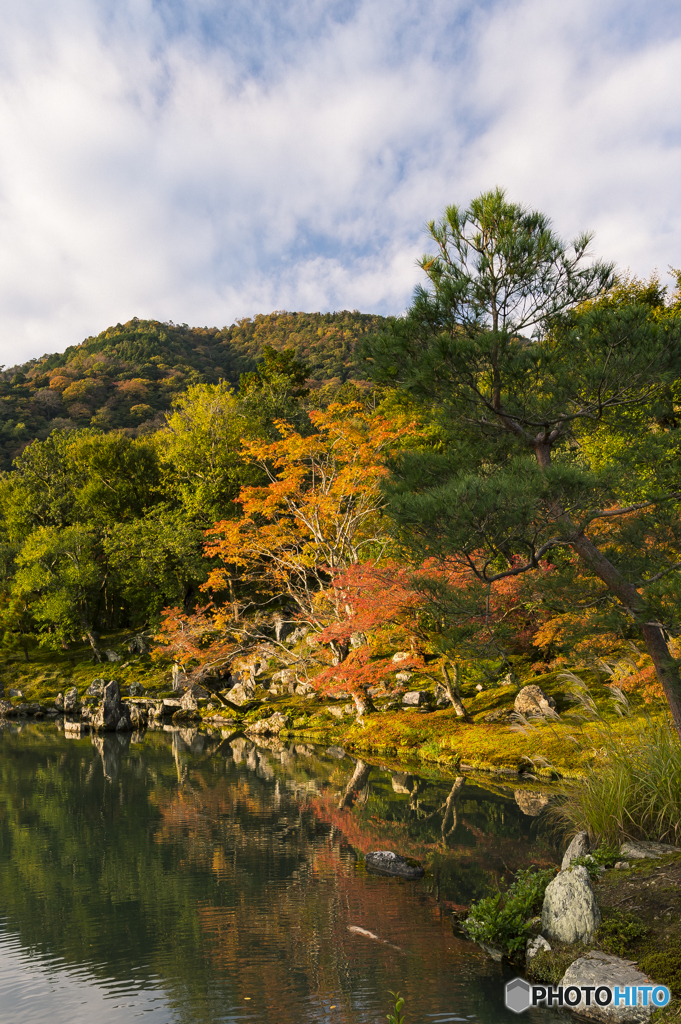 今年は・・・・・