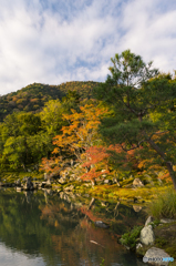 今年は・・・・・