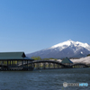 東北桜　2021　岩木山　②