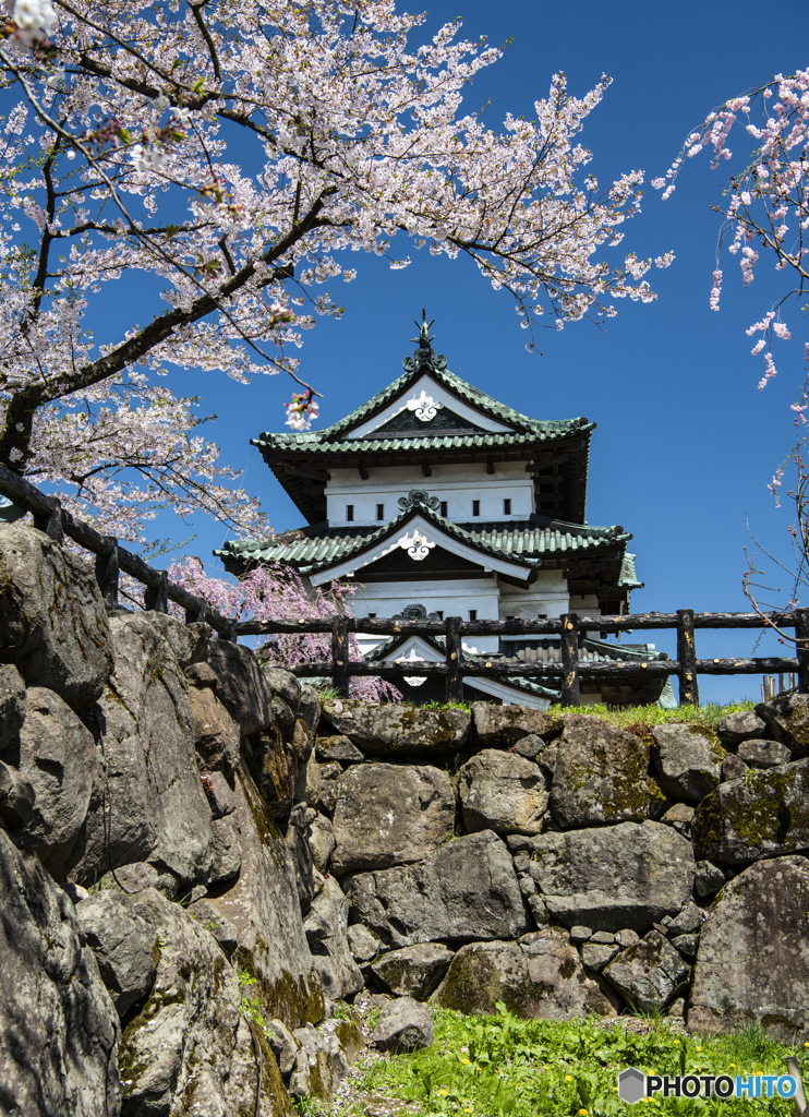 弘前公園　弘前城