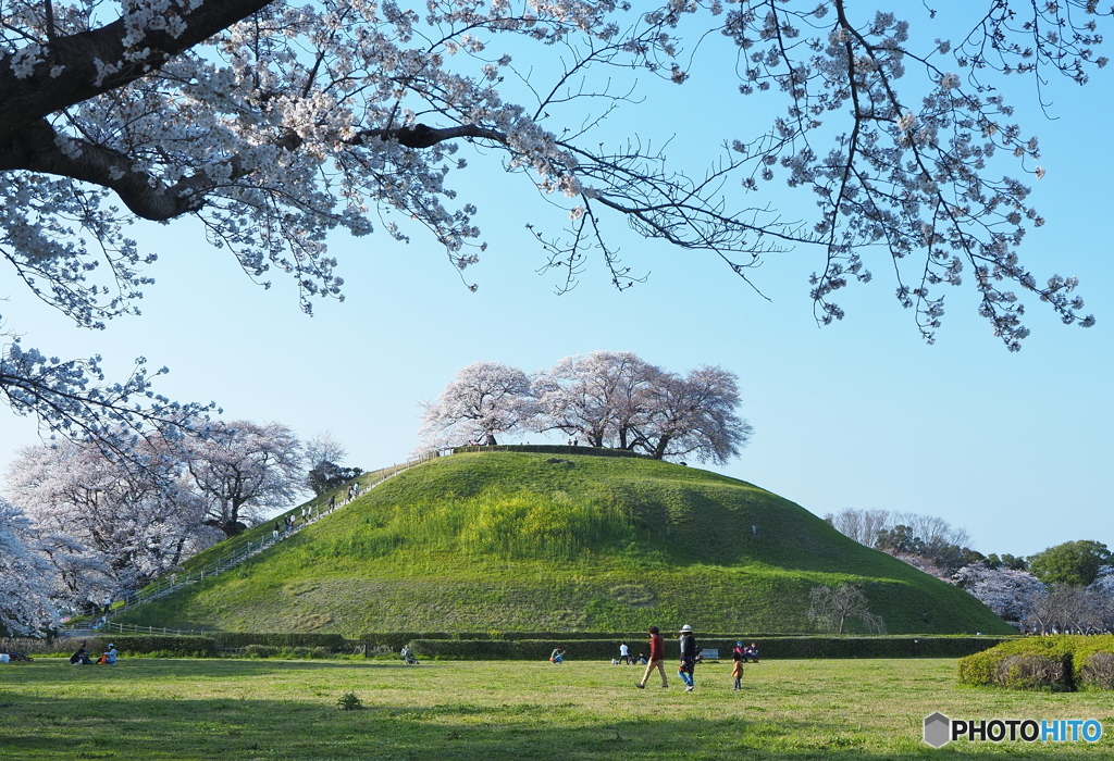 春の古墳(古墳公園)