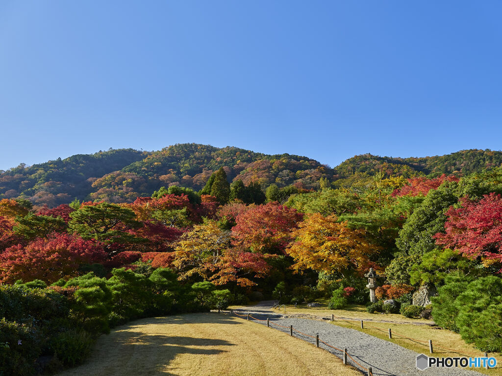 大河内山荘①