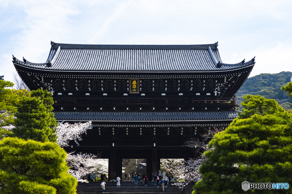 京の桜　2021　南禅寺①