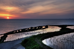 春の夕暮れ（能登千枚田）