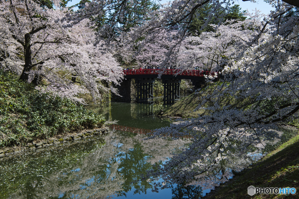 弘前公園 内濠②