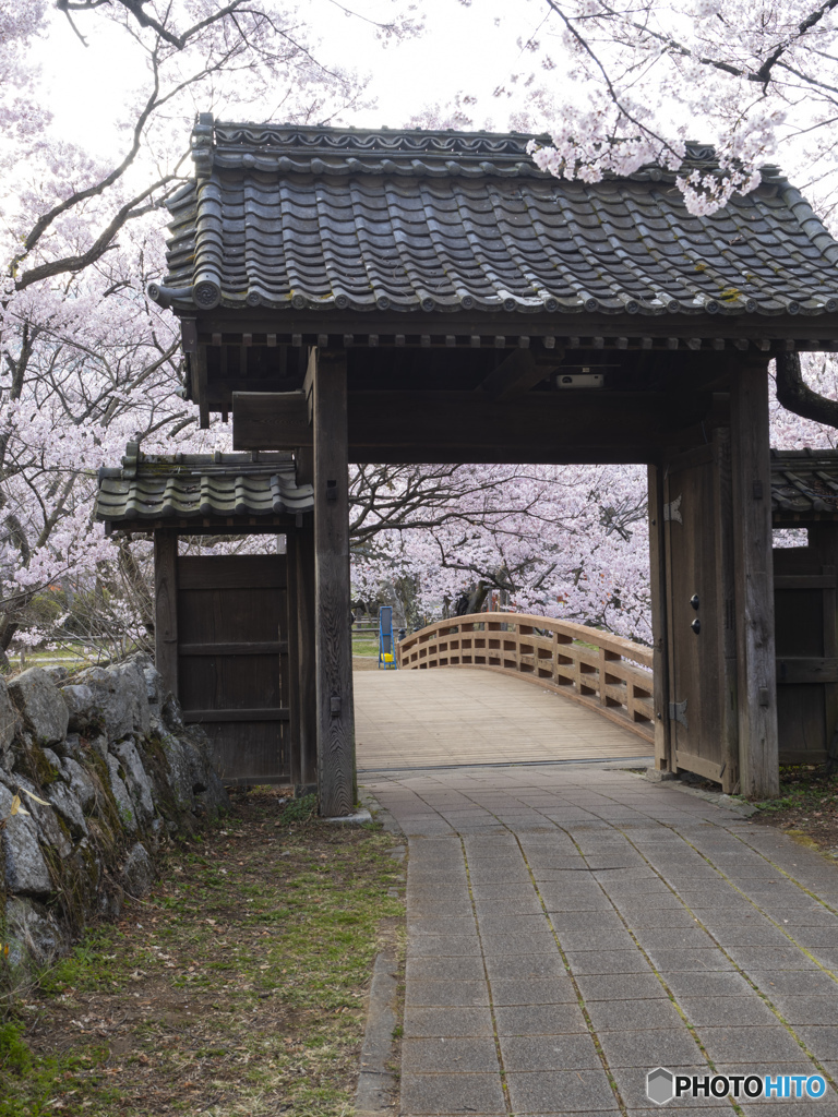 高遠城址公園　2021　③