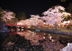 夜桜