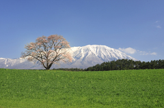 どんと、晴れた