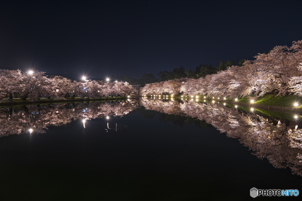 桜は夜②(弘前公園)