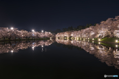 桜は夜②(弘前公園)