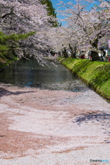 弘前公園 東濠