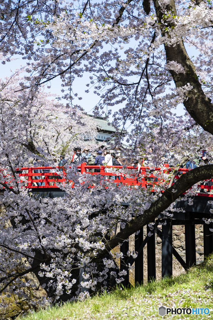 弘前公園 内濠③