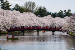 弘前公園 西濠