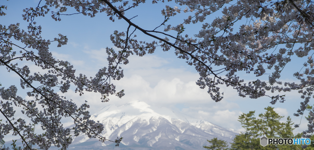 弘前公園 2017 岩木山