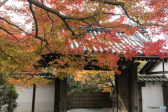 もう一つの蓮華寺