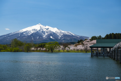 春の岩木山 鶴の舞橋