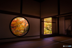 今年も何を悟るのか