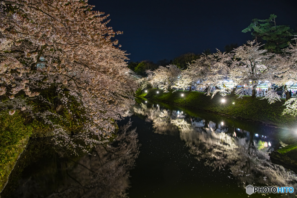 弘前公園 内濠④