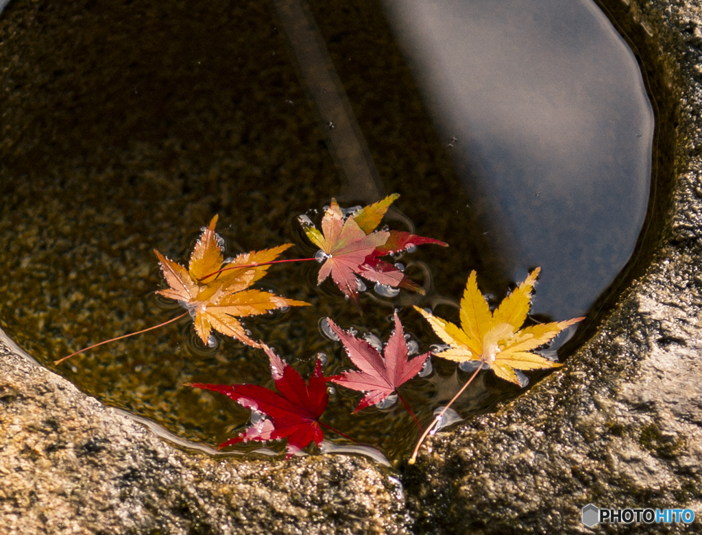 限られた世界に