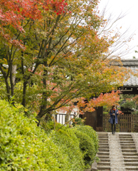 素敵な女性と紅葉