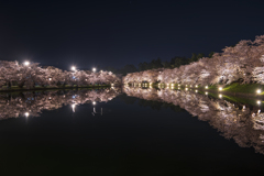 桜　弘前公園　夜②