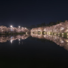 桜　弘前公園　夜②